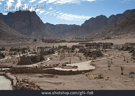 
                Sinai                   