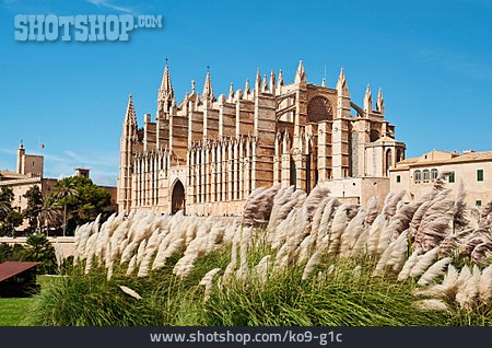 
                Kathedrale, Palma, La Seu                   