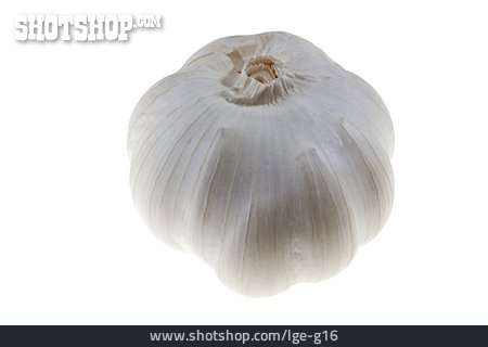 
                Knoblauch, Knoblauchknolle                   