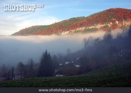 
                Herbst, Nebel, Talnebel, Lunz Am See                   