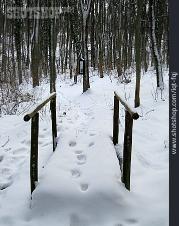 
                Wald, Winter, Holzsteg                   