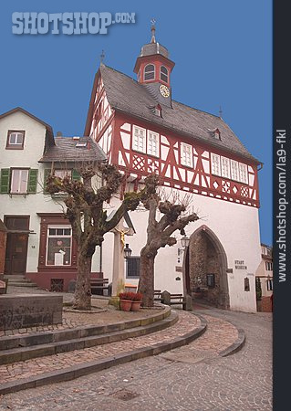 
                Taunus, Königstein                   