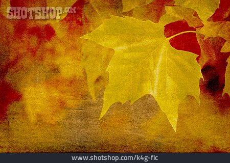 
                Herbstlich, Ahornblatt, Kunstfoto                   