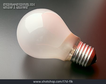 
                Light Bulb                   