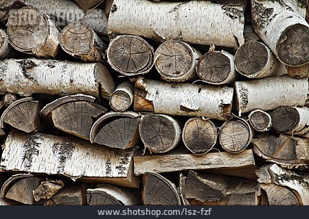 
                Holzstapel, Baumstamm, Birke                   
