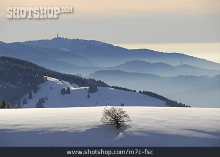 
                Winterlandschaft, Schwarzwald, Nebellandschaft                   