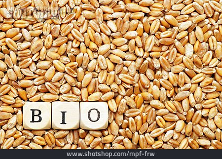 
                Weizen, Bio, Weizenkörner, Bio-getreide                   