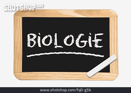 
                Wissenschaft, Biologie, Naturwissenschaft, Schulfach                   