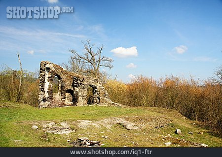 
                Ruine, Wolf, Klosterruine                   