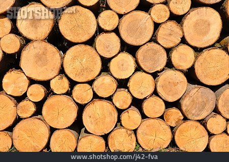 
                Holz, Holzstapel, Fichtenholz                   
