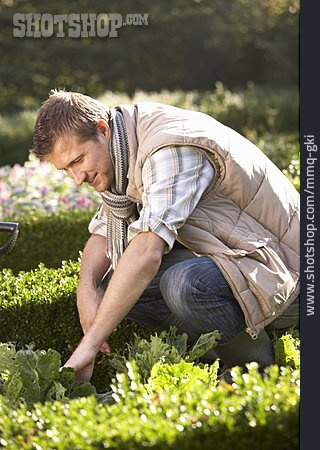 
                Junger Mann, Gartenarbeit, Gärtner                   