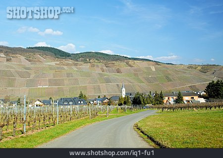 
                Weinort, Weinlandschaft, Lösnich                   