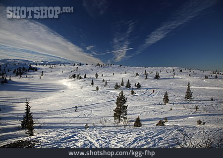 
                Ski Slope, Ski Track, Blefjell                   