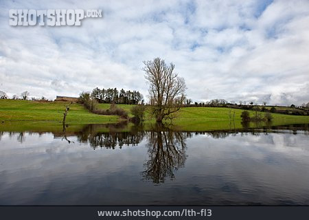 
                Ufer, Carrafin Lough                   