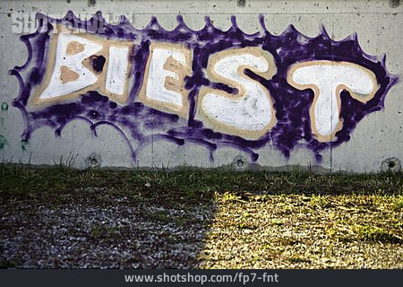 
                Graffiti, Betonwand, Biest                   