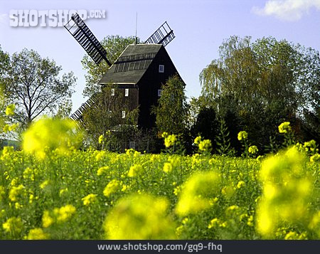 
                Windmühle, Birkmühle                   