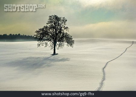 
                Winterlandschaft                   