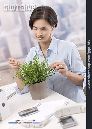 
                Geschäftsfrau, Büro & Office, Blumenpflege                   