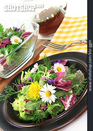 
                Salat, Wildkräuter, Wildkräutersalat                   