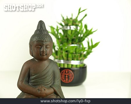 
                Glücksbambus, Buddhastatue                   