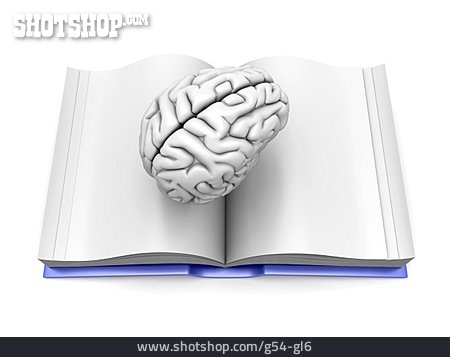 
                Wissenschaft, Bildung, Denken, Wissen, Gehirn                   