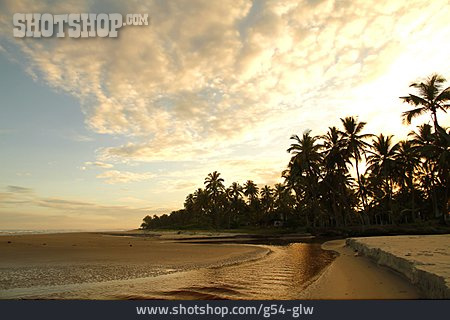 
                Strand, Palme, Brasilien, Bahia                   
