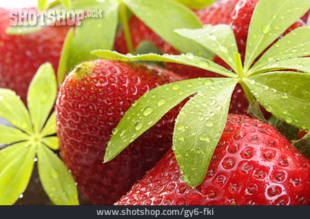 
                Erdbeere, Maibowle, Waldmeisterkraut                   