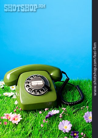 
                Telefon, Retro, Blumenwiese                   