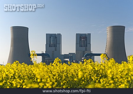 
                Rapsfeld, Kohlekraftwerk, Braunkohlekraftwerk                   