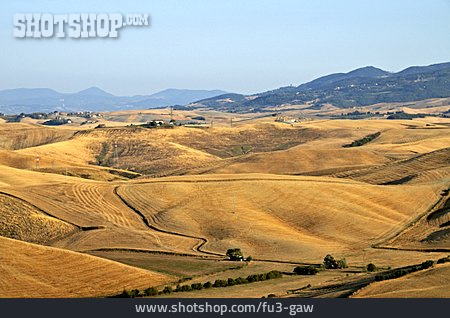 
                Landwirtschaft, Toskana                   