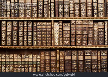
                Buch, Bücherregal, Bibliothek, Wissen, Sammlung                   