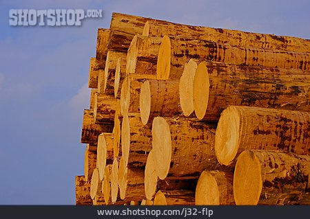 
                Holzwirtschaft, Baumstämme, Holzindustrie                   