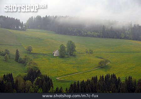 
                Landschaft, Schwarzwald, St. Peter                   