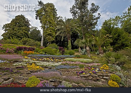 
                Steingarten, Blumenbeet, Botanischer Garten                   