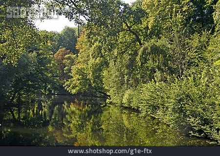 
                See, Wasserspiegelung, Laubwald                   