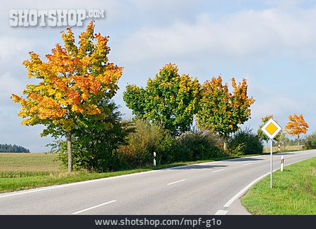 
                Herbstlich, Landstraße, Vorfahrtstraße                   