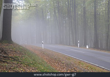 
                Nebel, Straße, Landstraße                   
