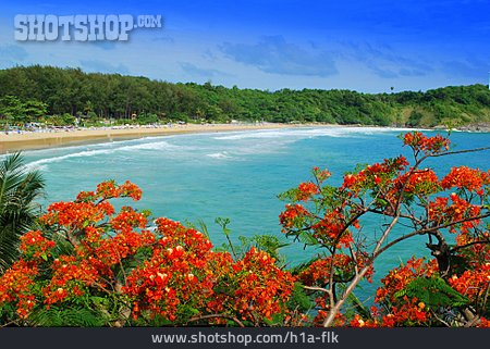 
                Beach, Thailand, Phuket                   