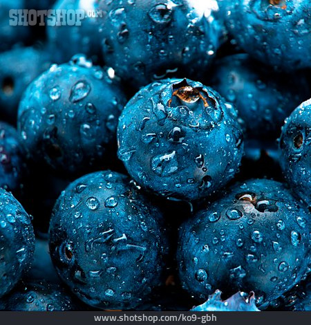 
                Beerenfrucht, Blaubeere                   