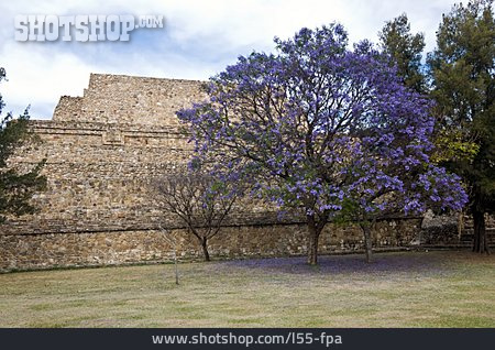 
                Ruine, Mexiko, Monte Alban                   