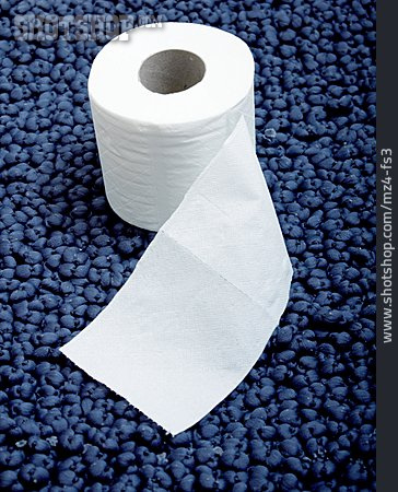 
                Toilettenpapier, Toilettenpapierrolle                   