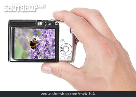 
                Ansehen, Digitalkamera, Naturfotografie, Bildbetrachter                   