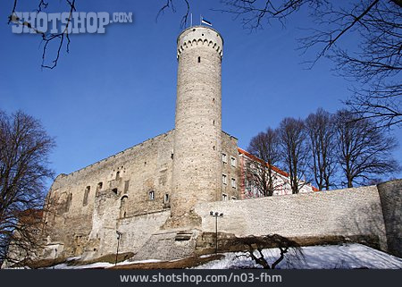 
                Wehrturm, Tallinn, Langer Herman                   