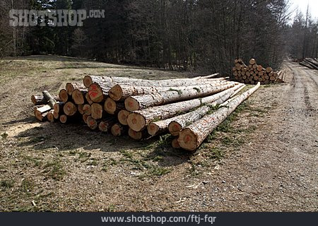
                Holz, Holzstapel, Forstwirtschaft, Fichtenholz                   