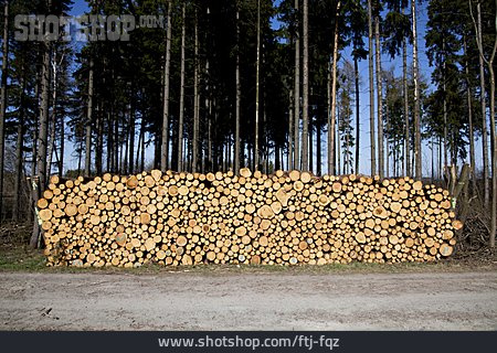 
                Holz, Holzstapel, Forstwirtschaft, Fichtenholz                   