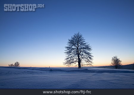 
                Winterlandschaft, Verschneit, Karg                   