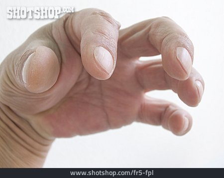 
                Finger, Hand                   