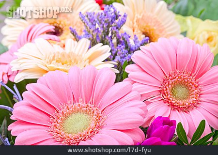 
                Blume, Blumenstrauß, Gerbera                   