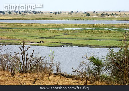 
                Namibia, Botswana, Grenzfluss, Chobe Nationalpark                   