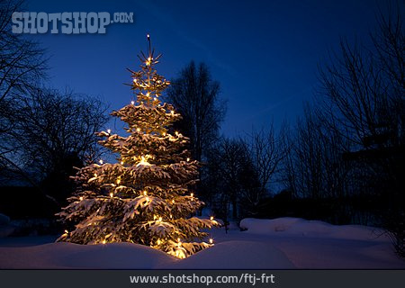 
                Weihnachten, Weihnachtsbaum, Weihnachtlich                   